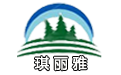 深圳節慶布置廠家，承接商業美陳春節裝飾工程及燈光節造型｜琪麗雅