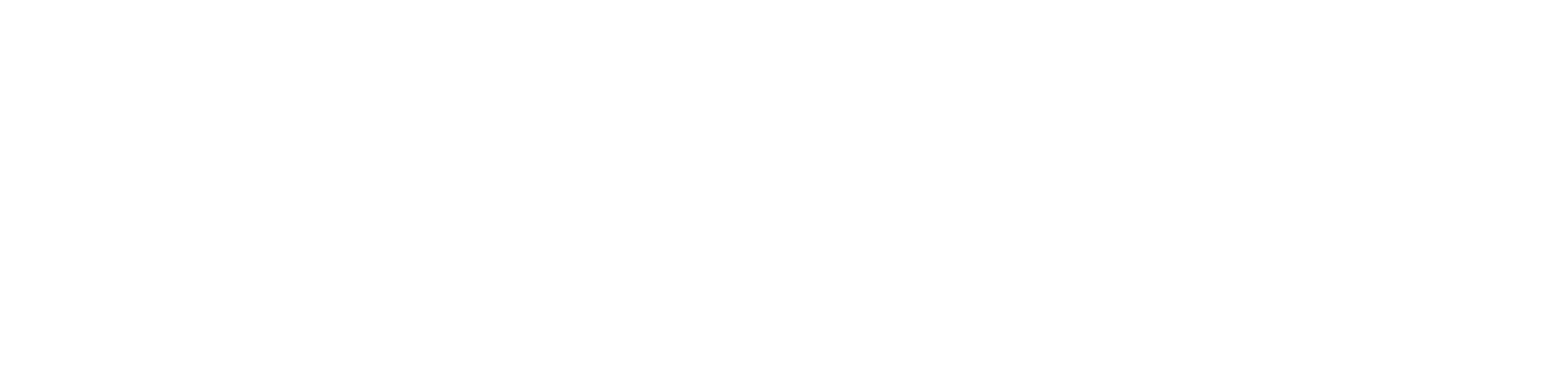 Toyo-東洋官方網(wǎng)站