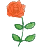 網(wǎng)頁制作展示