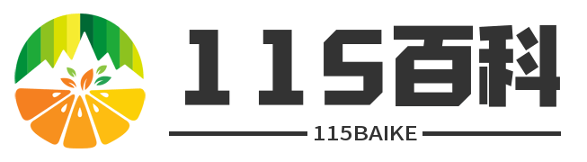 115百科網 - 一個集生活常識與經驗分享于一體的綜合性平臺