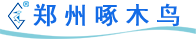 鄭州啄木鳥信息技術有限公司