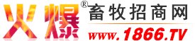 火爆畜牧招商網(wǎng)-獸藥飼料(水產(chǎn)/畜/禽)招商/代理,畜牧機(jī)械采購(gòu),畜牧養(yǎng)殖類網(wǎng)站【1866.TV】