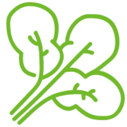 PHP杉竹信息模板網站系統