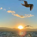 別墅網-別墅房屋設計圖