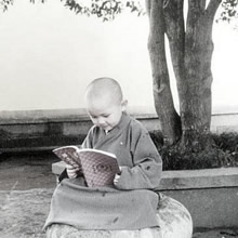 華嚴網絡-佛教網站建設，佛學文化網站設計工作室