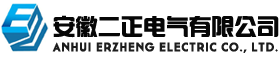 安徽二正電氣有限公司