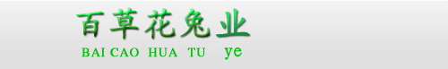 百草花兔業