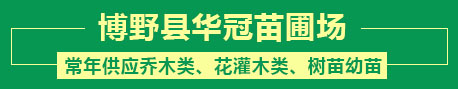 博野縣華冠苗圃場