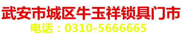 武安配汽車鑰匙,武安汽車配鑰匙,武安汽車開鎖,武安開汽車鎖