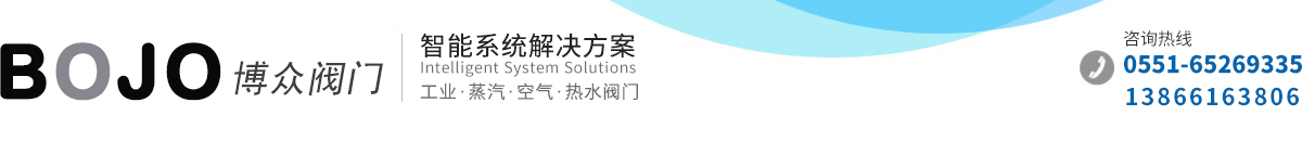 合肥博眾閥門科技有限公司