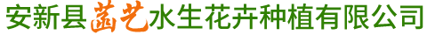 安新縣菡藝水生花卉種植有限公司