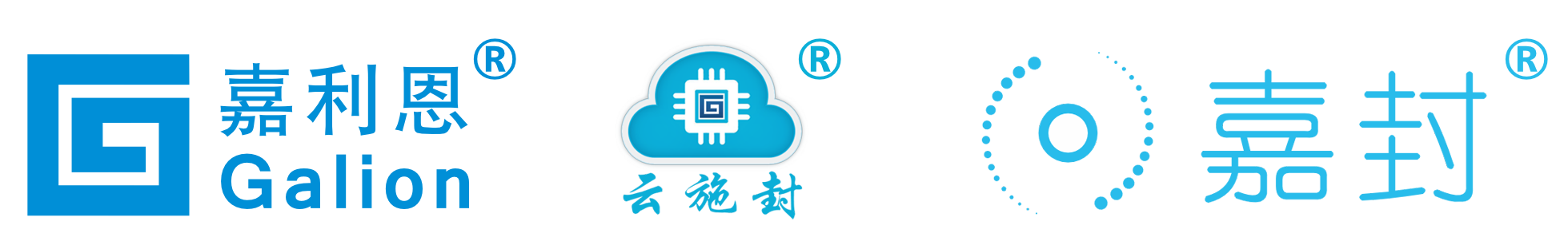 浙江溫州永嘉智能物流防偽鉛封/施封鎖/電子鎖-溫州嘉利恩施封科技有限公司