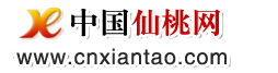 中國仙桃網 仙桃門戶 權威發布 2024