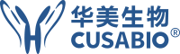 專業(yè)提供基因,重組蛋白,抗體,ELISA kit,診斷試劑原料,定制服務(wù)-華美生物