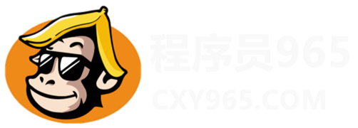 程序員工具-CXY965
