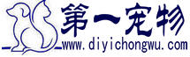 寵物知識_寵物市場_寵物狗_第一寵物網