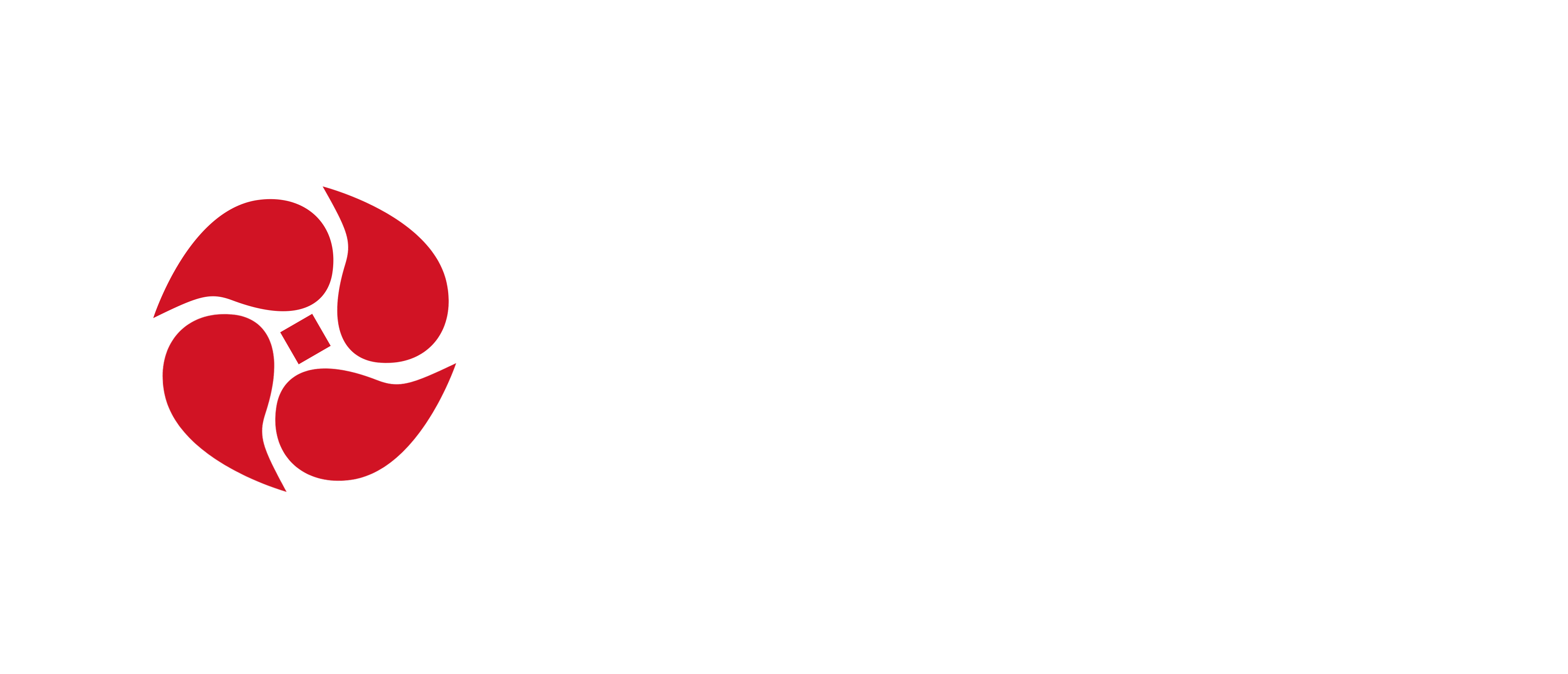 青島大摩證券投資有限公司