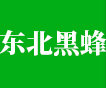 東北黑蜂蜜_饒河黑蜂蜜_椴樹蜜-饒河縣鄒氏東北黑蜂產(chǎn)品有限公司道外分公司