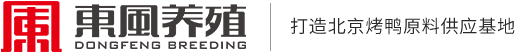 河北東風(fēng)養(yǎng)殖有限公司_鴨坯,鴨副產(chǎn)品,鴨腸,鴨血