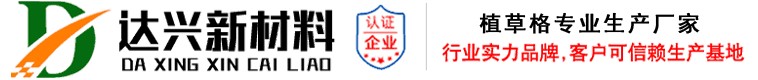 消防通道植草格_加強(qiáng)型平口植草格_景區(qū)植草格_停車場植草格廠家?-達(dá)興新材料