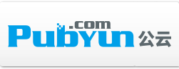 專業的云計算、動態域名服務提供商 - 公云PubYun