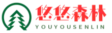 而且幽幽森林網(wǎng) -  erqie.net