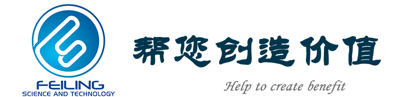 上海飛靈信息科技有限公司