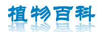 花蟻園藝生活-植物百科 植物藥用大學(xué)堂
