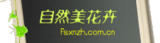 佛山訂花,佛山鮮花預(yù)定,佛山網(wǎng)上送花|佛山自然美鮮花店