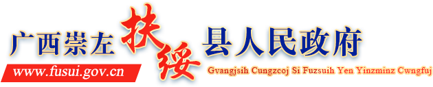 廣西崇左市扶綏縣人民政府門戶網站