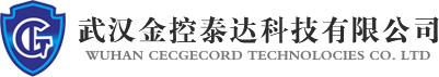 武漢金控泰達科技有限公司