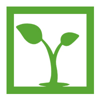 包頭苗圃_綠化苗木「內蒙古呼和浩特鄂爾多斯苗木基地」找格林沃德苗木廠家