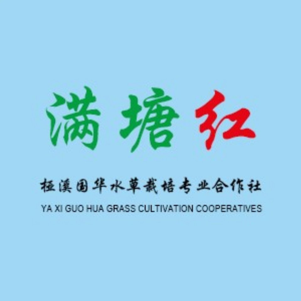 國華水草-高淳縣椏溪國華水草栽培專業(yè)合作社-國家農(nóng)民合作社示范社-輪葉黑藻-芽孢-伊樂藻-四季苦草