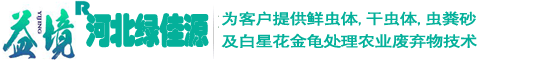 自動化養(yǎng)蟲設(shè)備,白星花金龜種蟲,蠐螬規(guī)模化飼養(yǎng)技術(shù),蠐螬糞生物肥-河北綠佳源生物科技有限公司