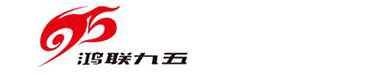 河南鴻聯(lián)九五