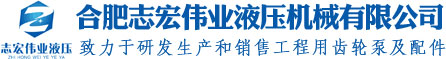 挖掘機先導(dǎo)泵_平地壓路機齒輪泵馬達-合肥志宏偉業(yè)液壓裝載機掃地車齒輪泵廠家