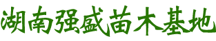 益陽市資陽區強盛苗木基地_益陽香樟|益陽桂花|廣玉蘭哪里的好