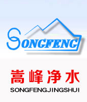 果殼_椰殼_顆粒活性炭_煤質(zhì)柱狀_水處理濾料--嵩峰凈水廠家