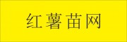 紅薯苗網