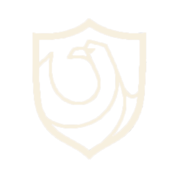 中龍技術 | 紅客突擊隊 | HSCSEC