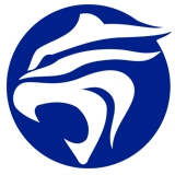 單機(jī)游戲_單機(jī)游戲下載_單機(jī)游戲攻略_虎游網(wǎng)