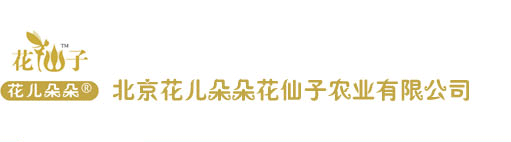 首頁―北京花仙子園藝―專業種子培育，批發零售各種花卉、花種、苗木