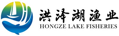 洪澤湖漁業-
        洪澤湖漁業
