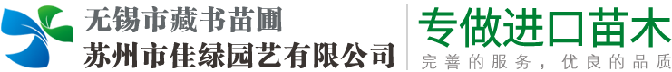 無錫進口苗木-無錫市藏書苗圃