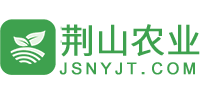 蔬菜配送_專業(yè)的蔬菜配送公司_四川成都地區(qū)單位食堂及餐飲酒店的最佳選擇_荊山農(nóng)業(yè)
