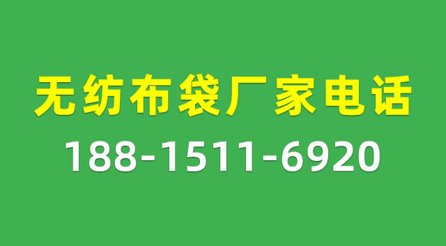 環保袋廠家_帆布袋定制_購物袋批發_無紡布袋 - 龍港市君實制袋廠