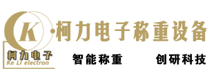 軌道衡-定量包裝秤-配料秤-皮帶秤價(jià)格-除鐵器生產(chǎn)廠家-大連柯力電子稱重設(shè)備有限公司