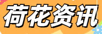 荷花運動網