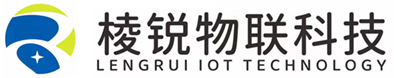 陜西棱銳物聯科技有限公司