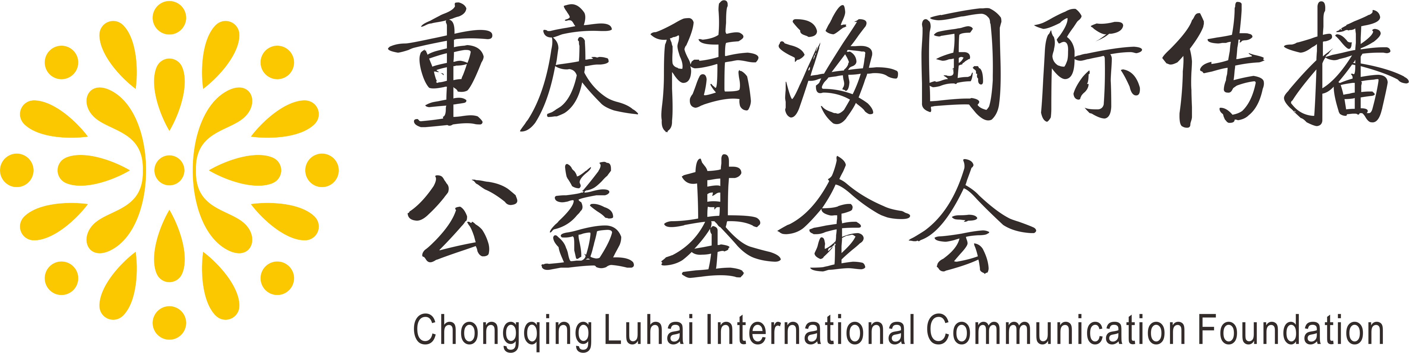 重慶陸海國(guó)際傳播公益基金會(huì)